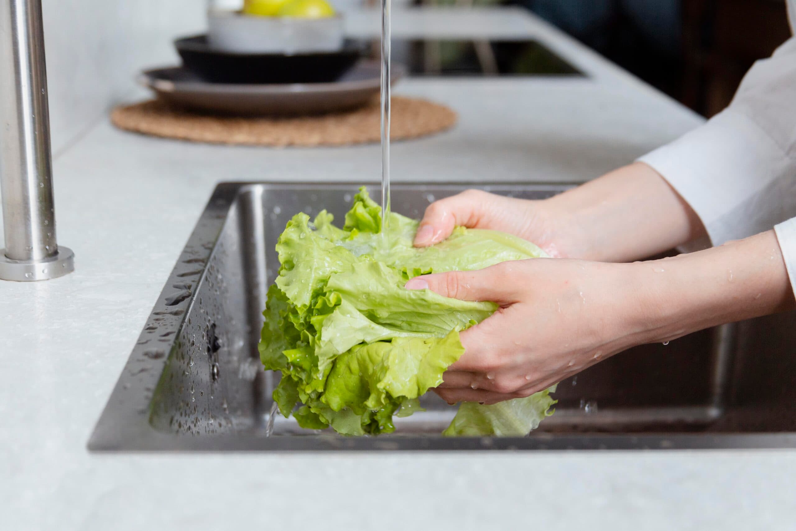 Why Food Safety Matters: Simple Tips to Protect Your Health